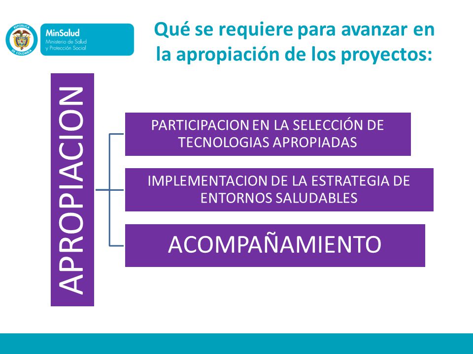 Qué se requiere para avanzar en la apropiación de los proyectos: