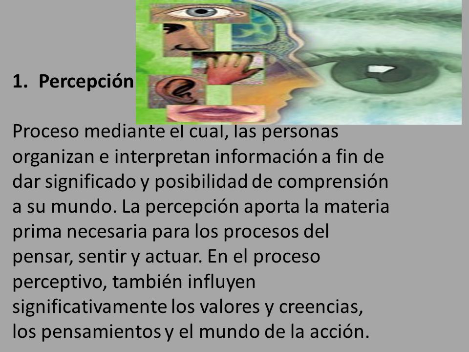 Percepción Proceso mediante el cual, las personas. organizan e interpretan información a fin de. dar significado y posibilidad de comprensión.