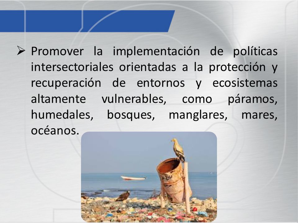 Promover la implementación de políticas intersectoriales orientadas a la protección y recuperación de entornos y ecosistemas altamente vulnerables, como páramos, humedales, bosques, manglares, mares, océanos.