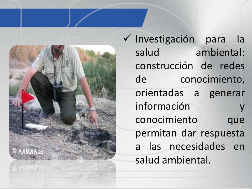 Investigación para la salud ambiental: construcción de redes de conocimiento, orientadas a generar información y conocimiento que permitan dar respuesta a las necesidades en salud ambiental.