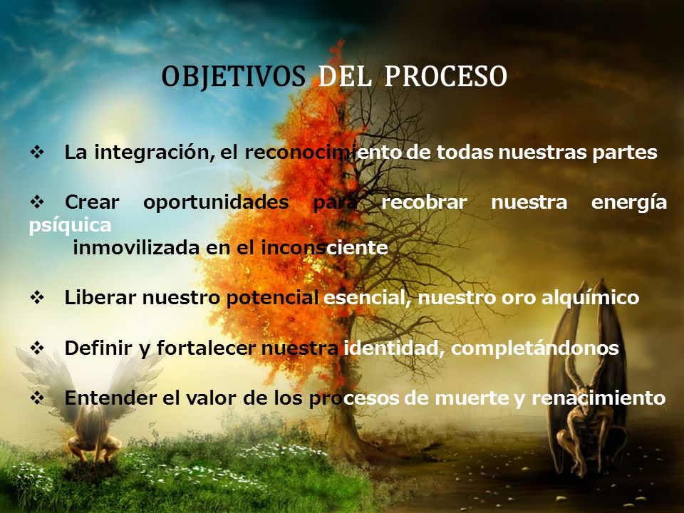 OBJETIVOS DEL PROCESO La integración, el reconocimiento de todas nuestras partes. Crear oportunidades para recobrar nuestra energía psíquica.