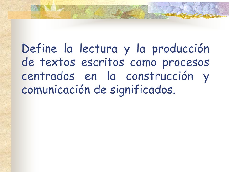 Define la lectura y la producción de textos escritos como procesos centrados en la construcción y comunicación de significados.