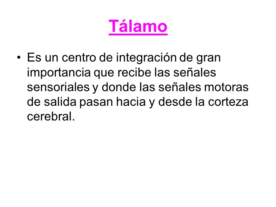 Tálamo