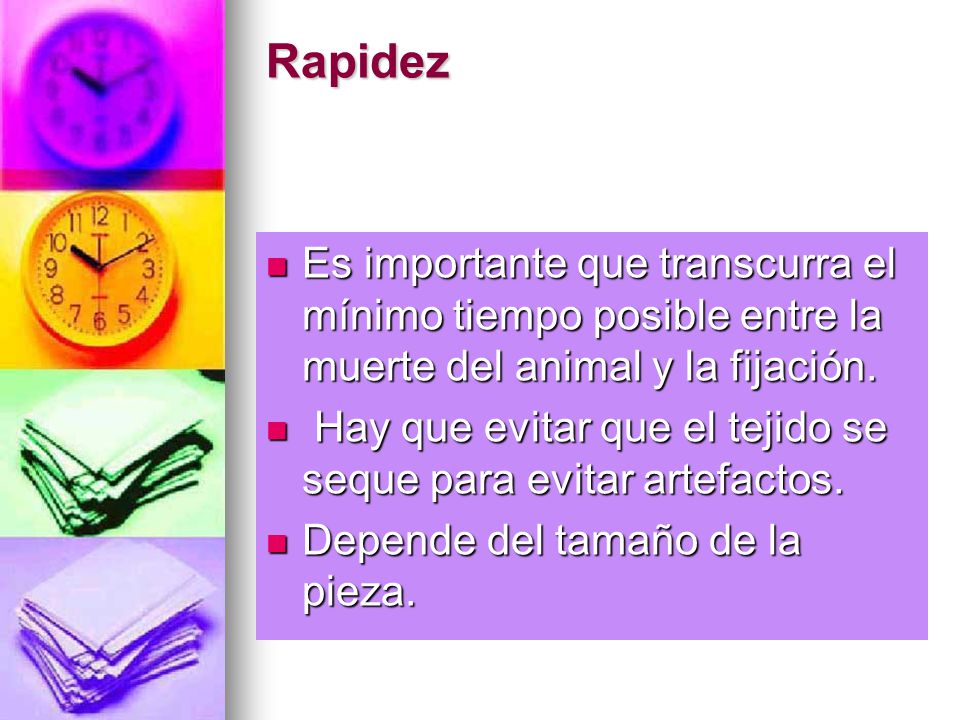 Rapidez Es importante que transcurra el mínimo tiempo posible entre la muerte del animal y la fijación.