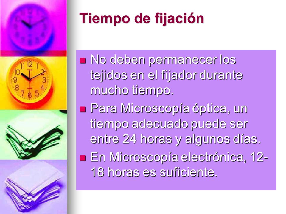Tiempo de fijación No deben permanecer los tejidos en el fijador durante mucho tiempo.