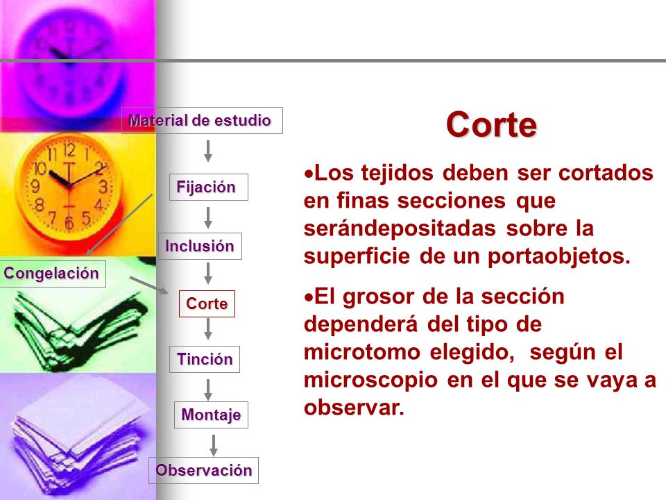 Corte Material de estudio. Los tejidos deben ser cortados en finas secciones que serándepositadas sobre la superficie de un portaobjetos.