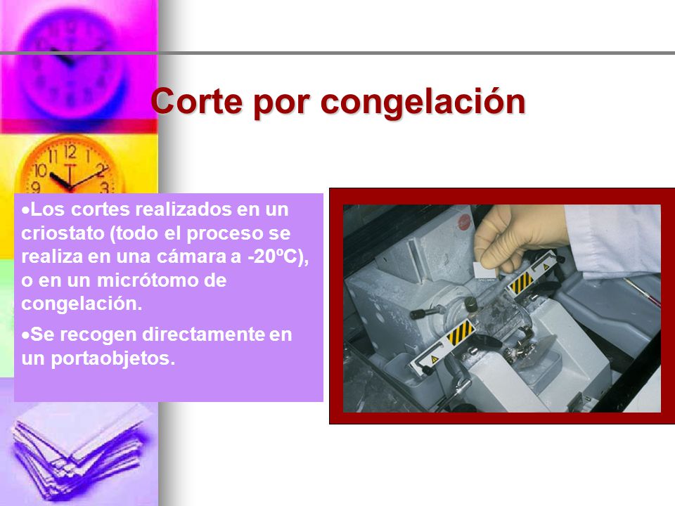Corte por congelación Los cortes realizados en un criostato (todo el proceso se realiza en una cámara a -20ºC), o en un micrótomo de congelación.