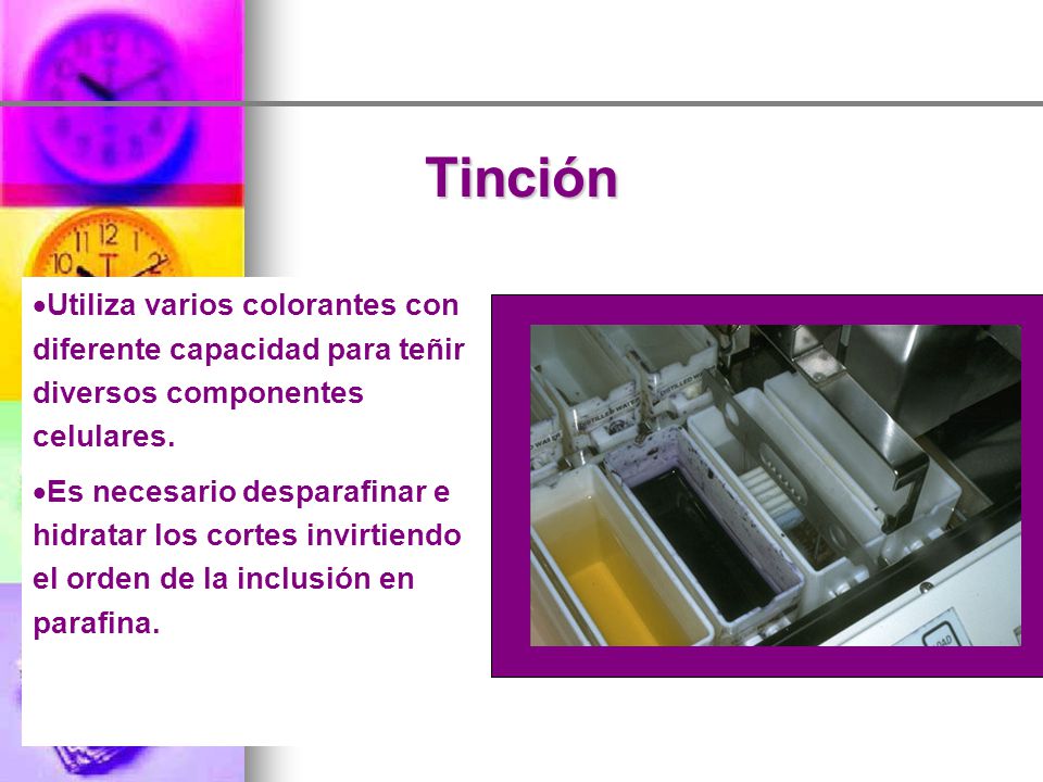 Tinción Utiliza varios colorantes con diferente capacidad para teñir diversos componentes celulares.