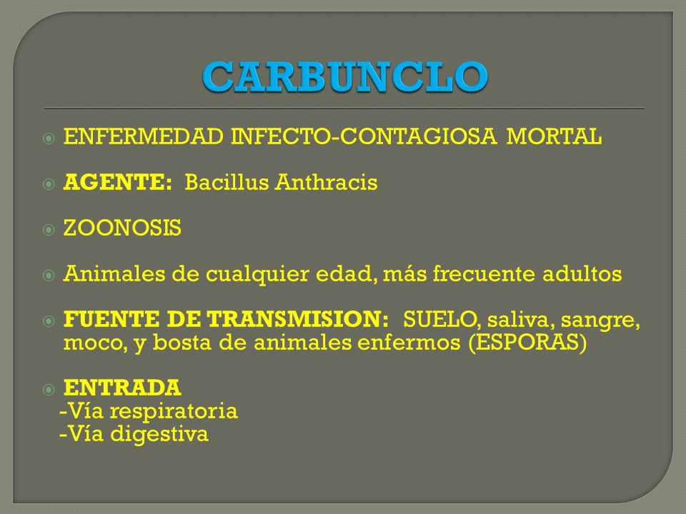 CARBUNCLO ENFERMEDAD INFECTO-CONTAGIOSA MORTAL