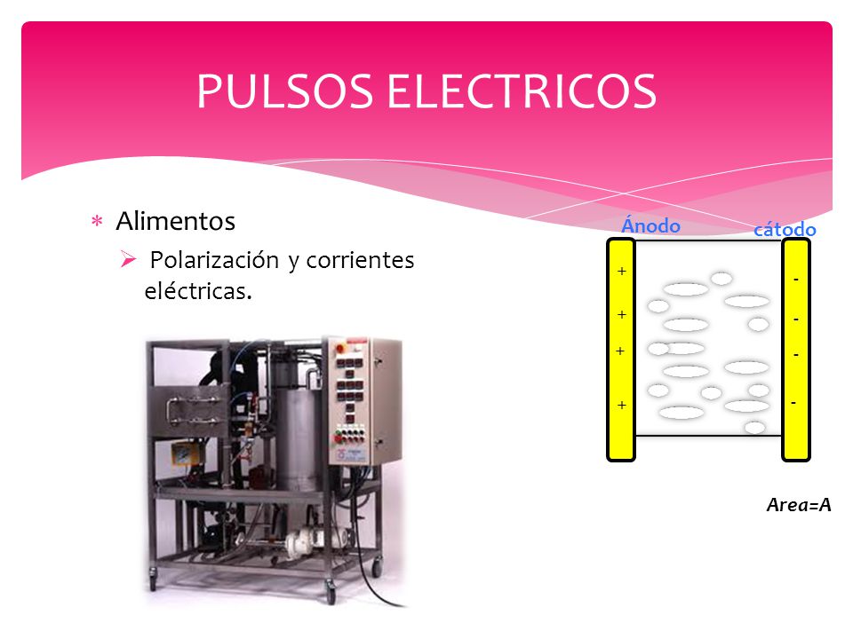 PULSOS ELECTRICOS Alimentos Polarización y corrientes eléctricas.