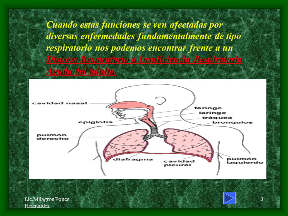 Cuando estas funciones se ven afectadas por diversas enfermedades fundamentalmente de tipo respiratorio nos podemos encontrar frente a un Distress Respiratorio o Insuficiencia Respiratoria Aguda del adulto.
