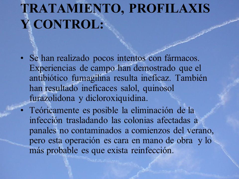 TRATAMIENTO, PROFILAXIS Y CONTROL: