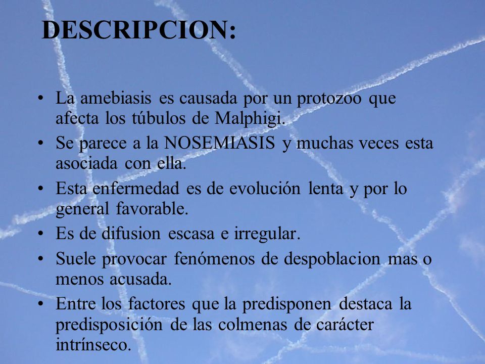 DESCRIPCION: La amebiasis es causada por un protozoo que afecta los túbulos de Malphigi.