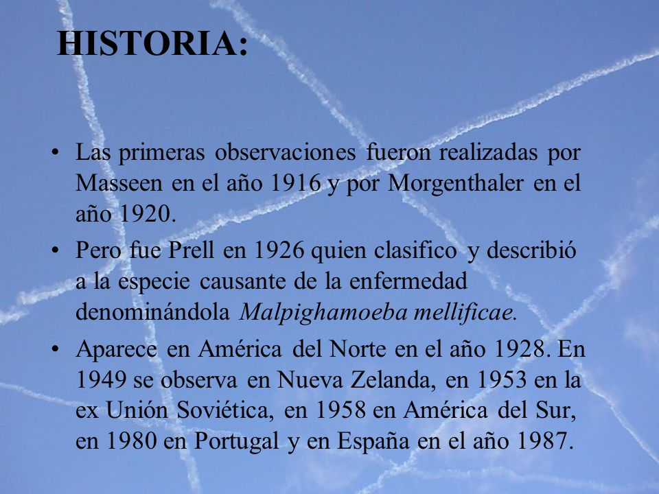 HISTORIA: Las primeras observaciones fueron realizadas por Masseen en el año 1916 y por Morgenthaler en el año