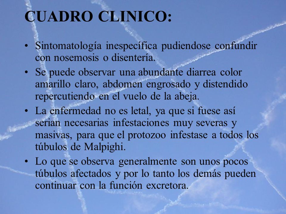 CUADRO CLINICO: Sintomatología inespecífica pudiendose confundir con nosemosis o disentería.