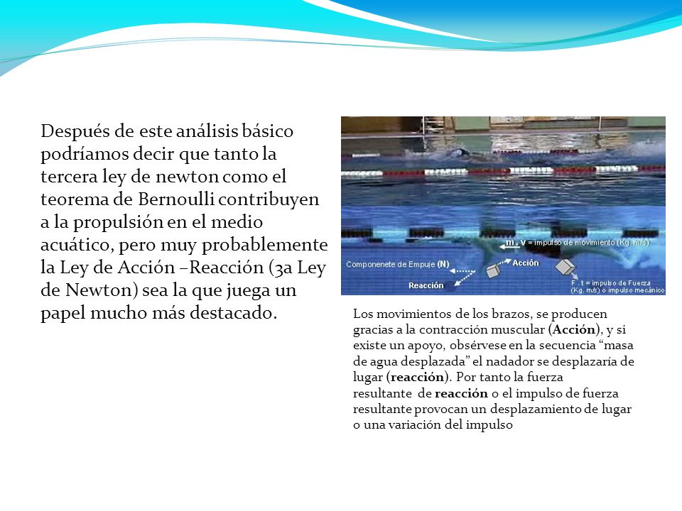Después de este análisis básico podríamos decir que tanto la tercera ley de newton como el teorema de Bernoulli contribuyen a la propulsión en el medio acuático, pero muy probablemente la Ley de Acción –Reacción (3a Ley de Newton) sea la que juega un papel mucho más destacado.
