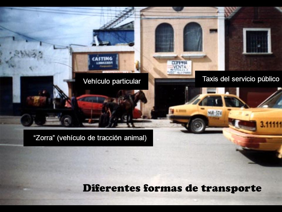 Diferentes formas de transporte