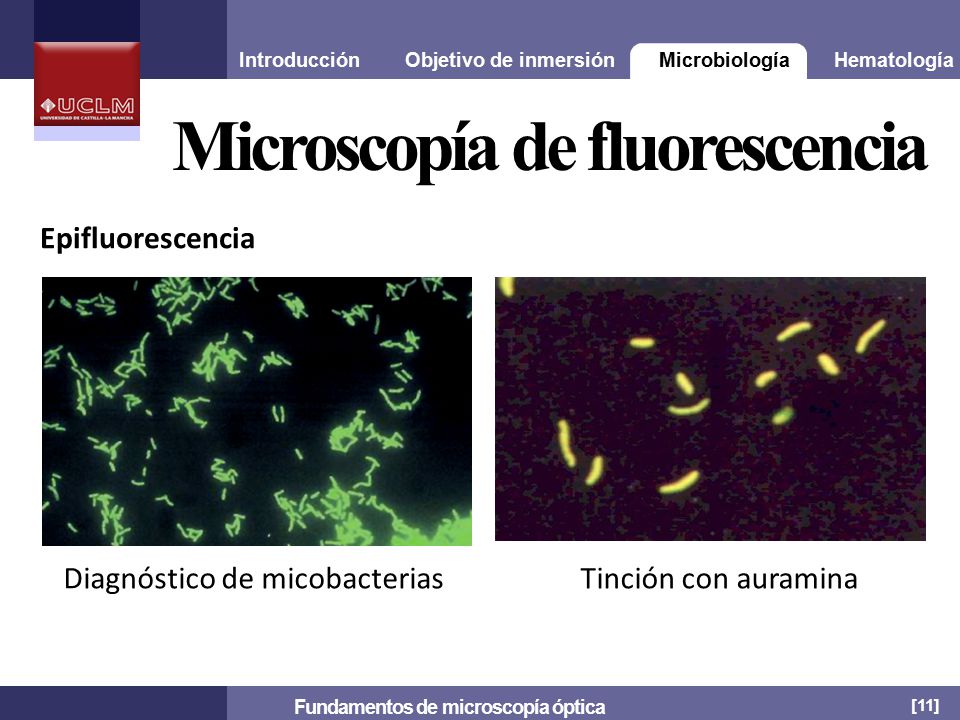 Fundamentos de microscopía óptica
