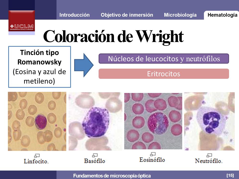 Tinción tipo Romanowsky Fundamentos de microscopía óptica