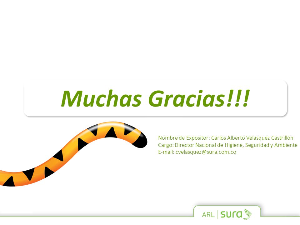Muchas Gracias!!! Nombre de Expositor: Carlos Alberto Velasquez Castrillón. Cargo: Director Nacional de Higiene, Seguridad y Ambiente.