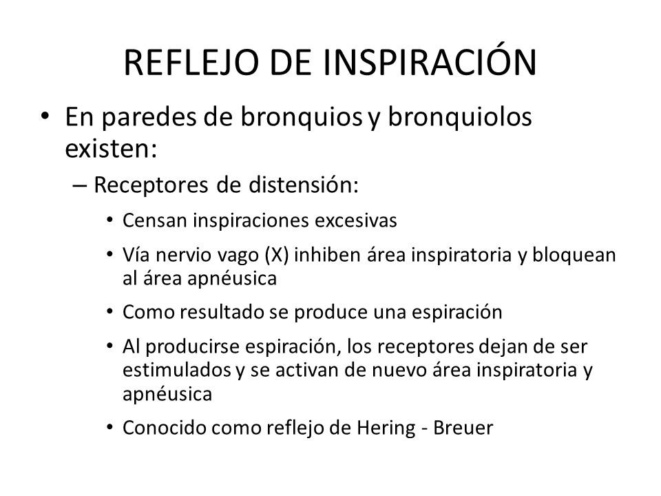 REFLEJO DE INSPIRACIÓN