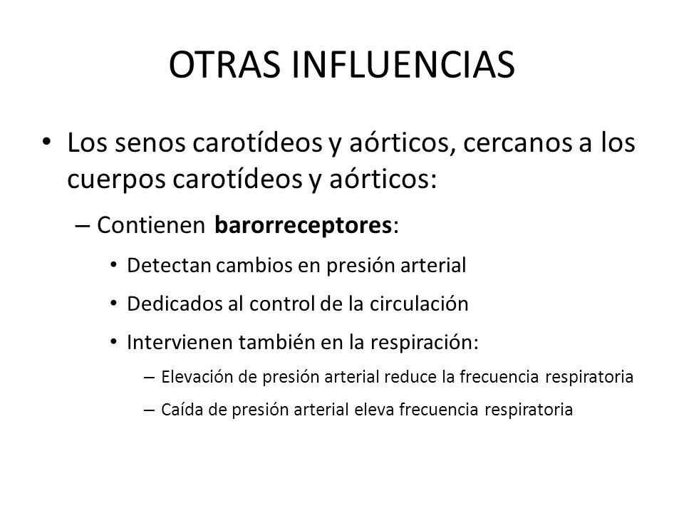 OTRAS INFLUENCIAS Los senos carotídeos y aórticos, cercanos a los cuerpos carotídeos y aórticos: Contienen barorreceptores: