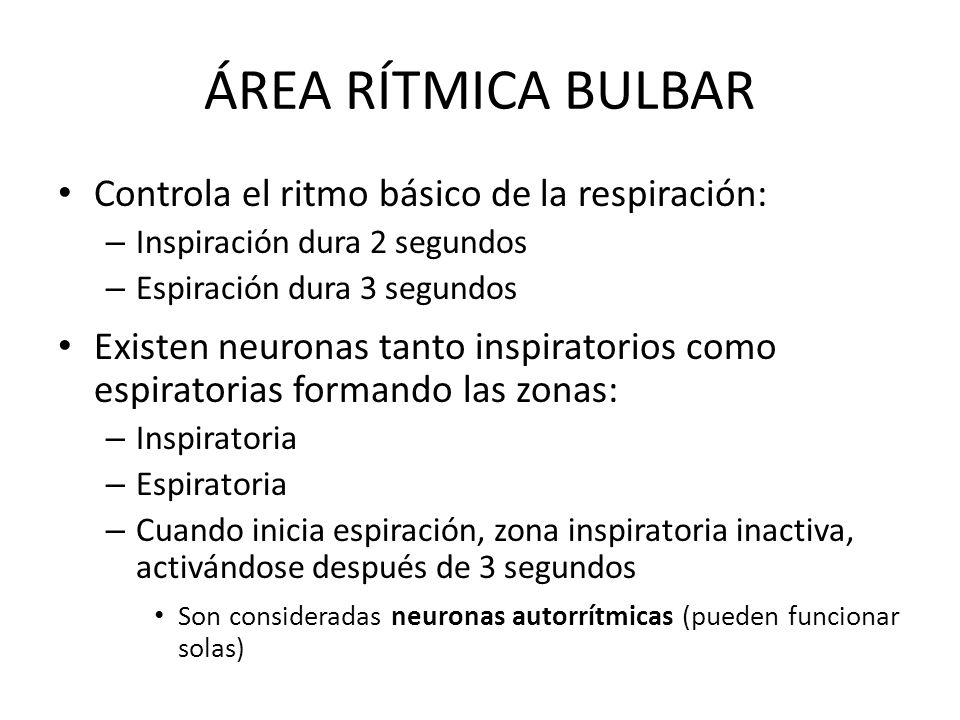 ÁREA RÍTMICA BULBAR Controla el ritmo básico de la respiración: