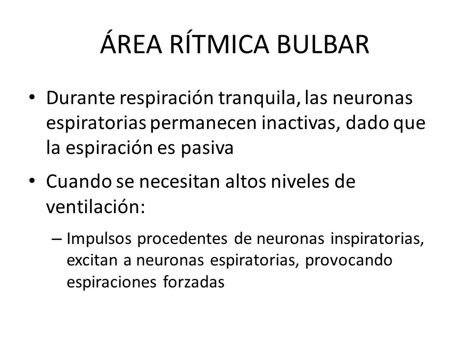 ÁREA RÍTMICA BULBAR Durante respiración tranquila, las neuronas espiratorias permanecen inactivas, dado que la espiración es pasiva.