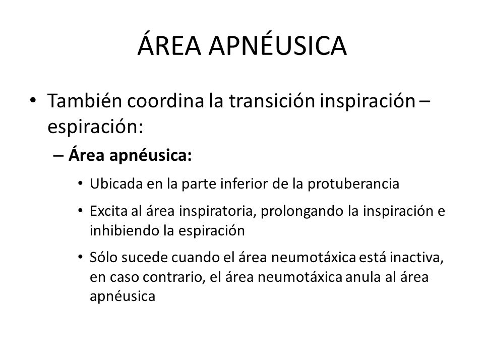 ÁREA APNÉUSICA También coordina la transición inspiración – espiración: Área apnéusica: Ubicada en la parte inferior de la protuberancia.