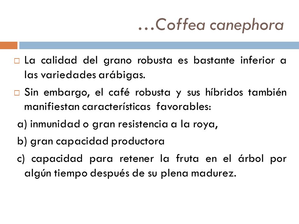 …Coffea canephora La calidad del grano robusta es bastante inferior a las variedades arábigas.