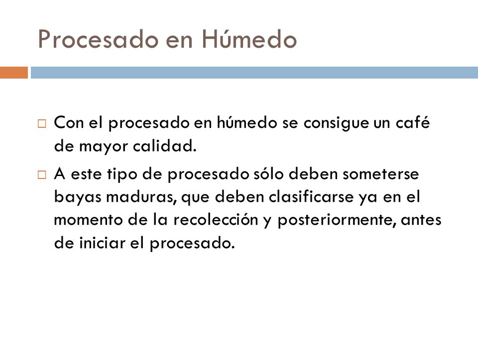 Procesado en Húmedo Con el procesado en húmedo se consigue un café de mayor calidad.