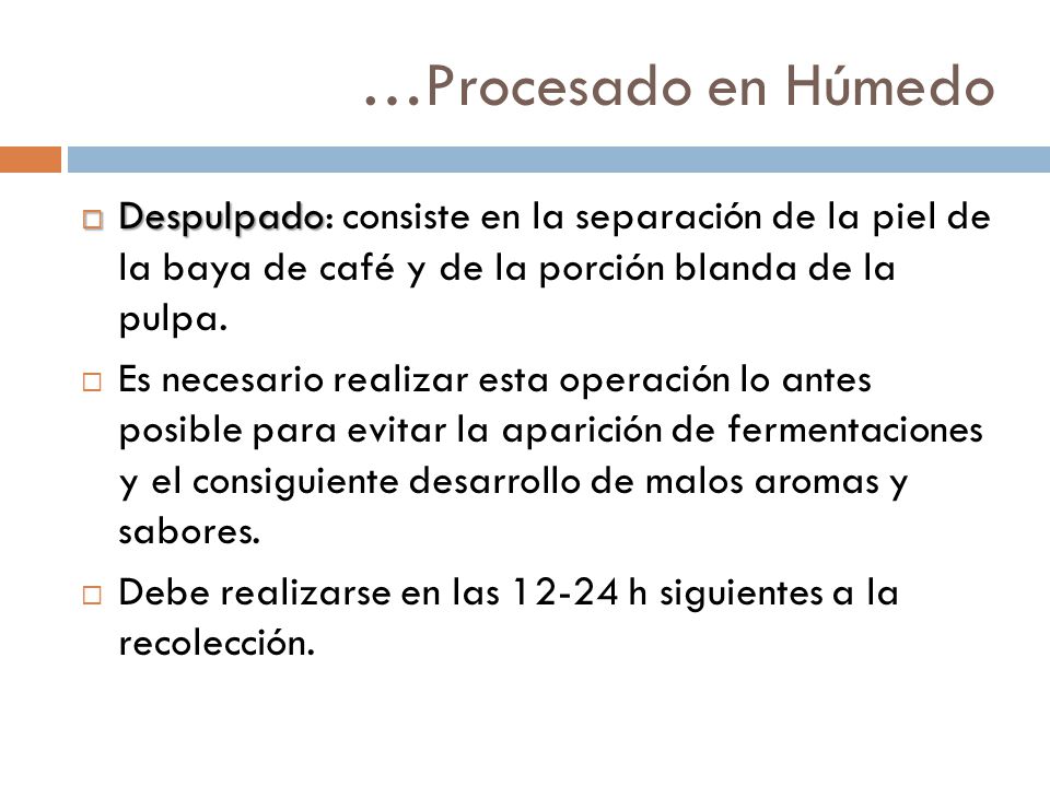 …Procesado en Húmedo Despulpado: consiste en la separación de la piel de la baya de café y de la porción blanda de la pulpa.