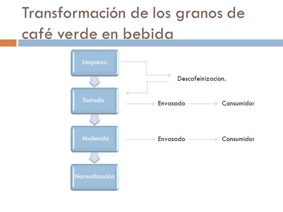 Transformación de los granos de café verde en bebida