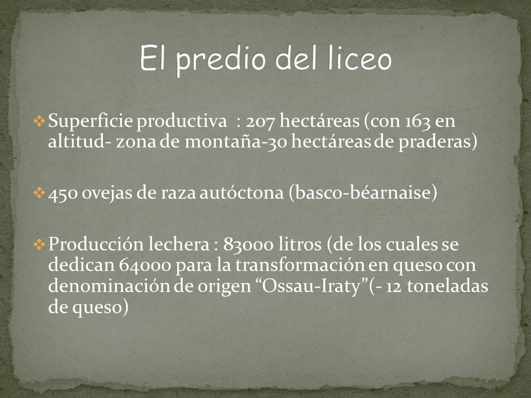 El predio del liceo Superficie productiva : 207 hectáreas (con 163 en altitud- zona de montaña-30 hectáreas de praderas)