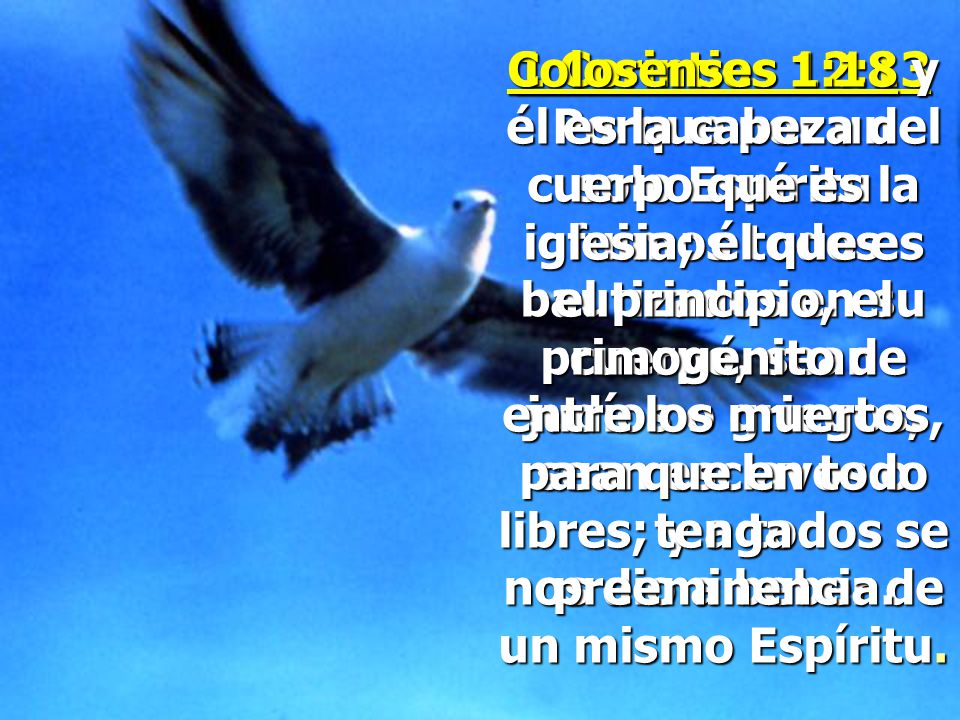 Colosenses 1:18 y él es la cabeza del cuerpo que es la iglesia; él que es el principio, el primogénito de entre los muertos, para que en todo tenga preeminencia.