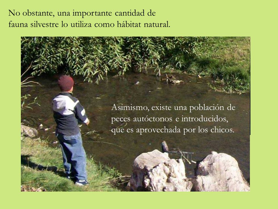 No obstante, una importante cantidad de fauna silvestre lo utiliza como hábitat natural.