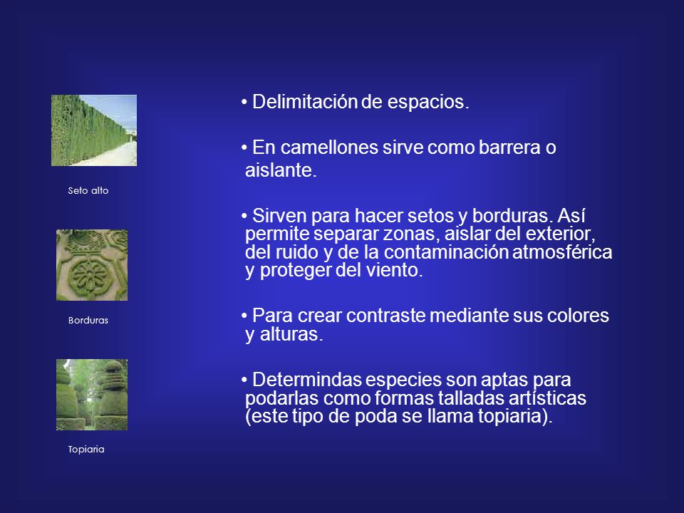 • Delimitación de espacios.