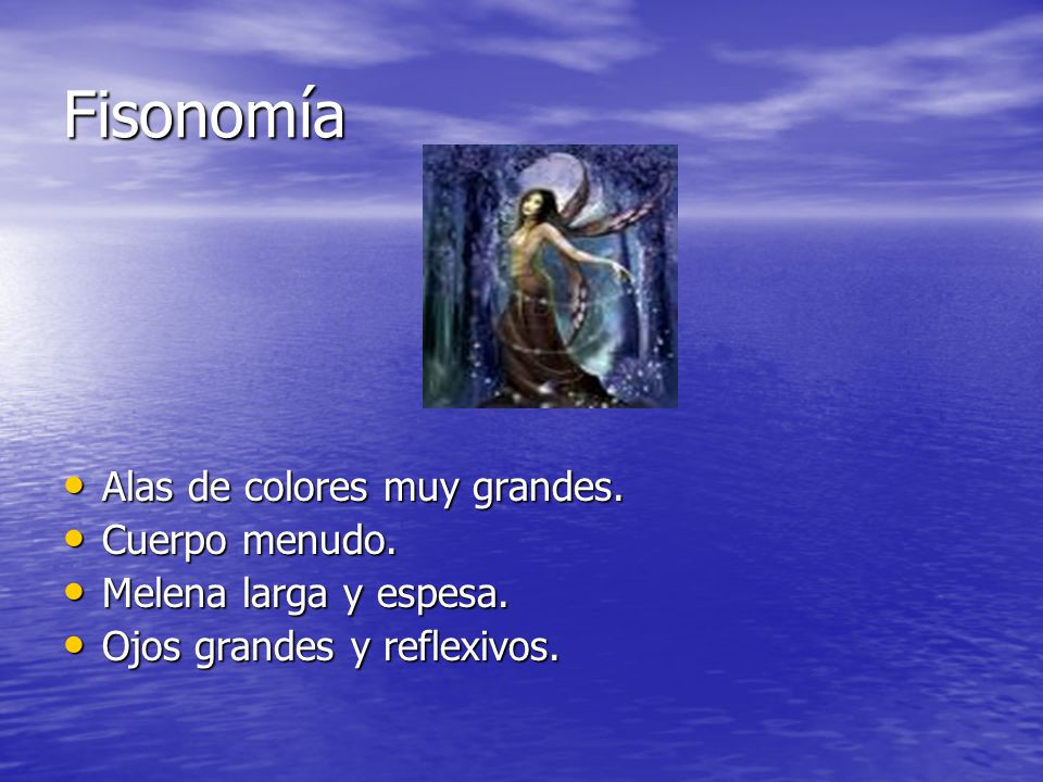 Fisonomía Alas de colores muy grandes. Cuerpo menudo.
