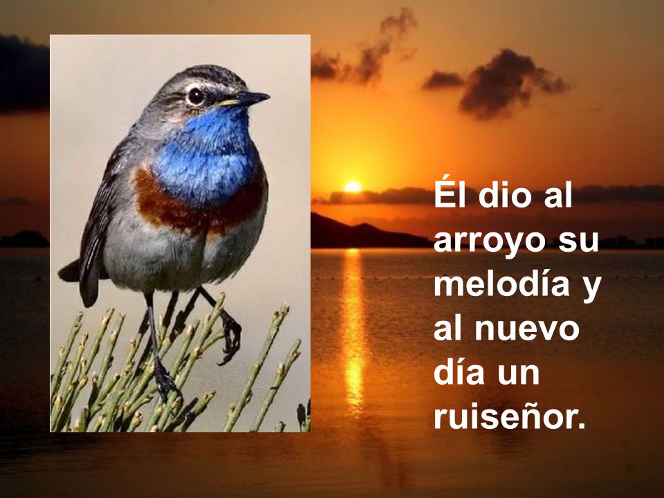 Él dio al arroyo su melodía y al nuevo día un ruiseñor.