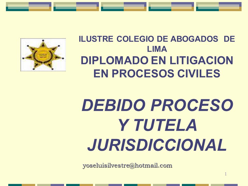 ILUSTRE COLEGIO DE ABOGADOS de lima Diplomado en LITIGACION EN PROCESOS CIVILES debido proceso y tutela jurisdiccional