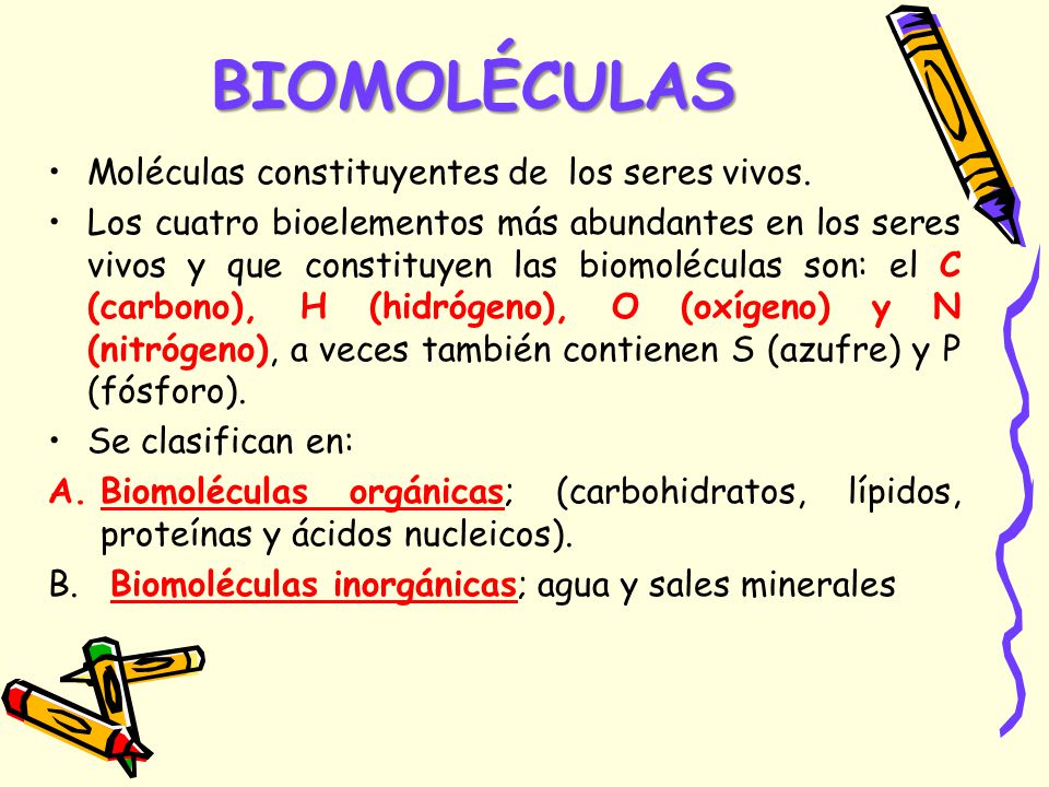BIOMOLÉCULAS Moléculas constituyentes de los seres vivos.