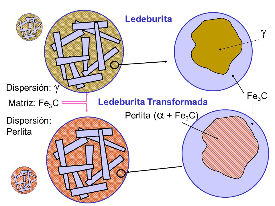  Ledeburita Dispersión:  Fe3C Ledeburita Transformada Matriz: Fe3C