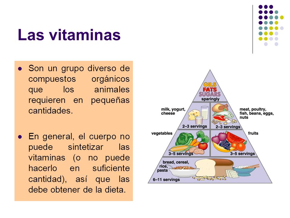 Las vitaminas Son un grupo diverso de compuestos orgánicos que los animales requieren en pequeñas cantidades.