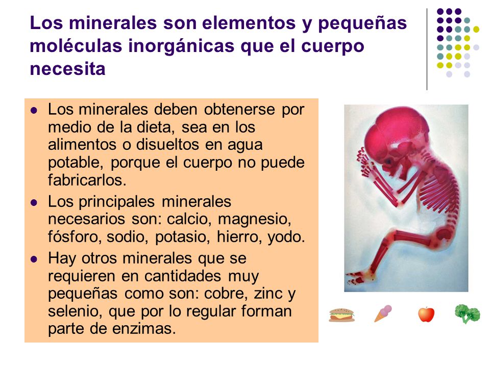Los minerales son elementos y pequeñas moléculas inorgánicas que el cuerpo necesita