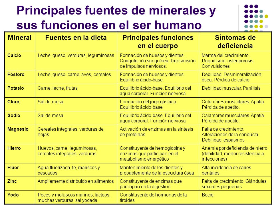 Principales fuentes de minerales y sus funciones en el ser humano