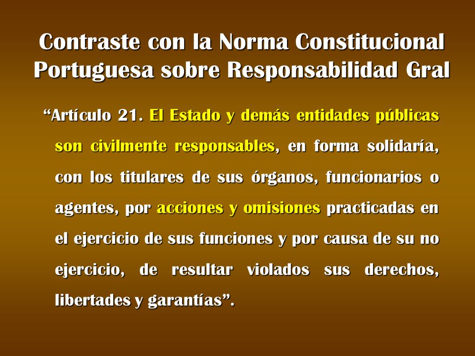 Contraste con la Norma Constitucional Portuguesa sobre Responsabilidad Gral