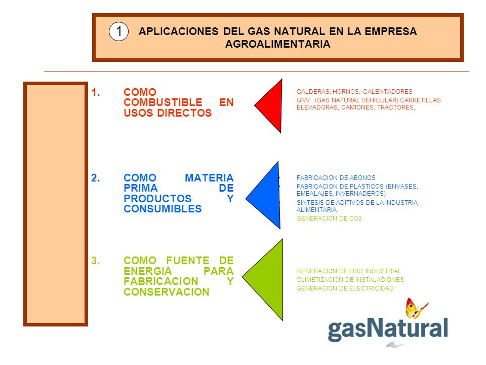 APLICACIONES DEL GAS NATURAL EN LA EMPRESA AGROALIMENTARIA