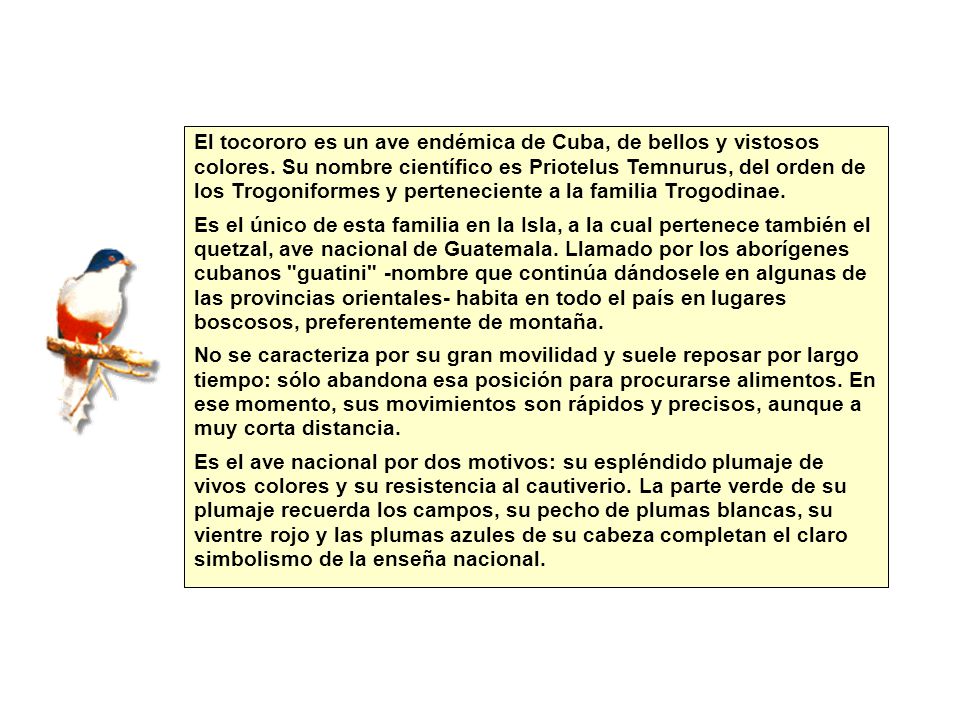 El tocororo es un ave endémica de Cuba, de bellos y vistosos colores