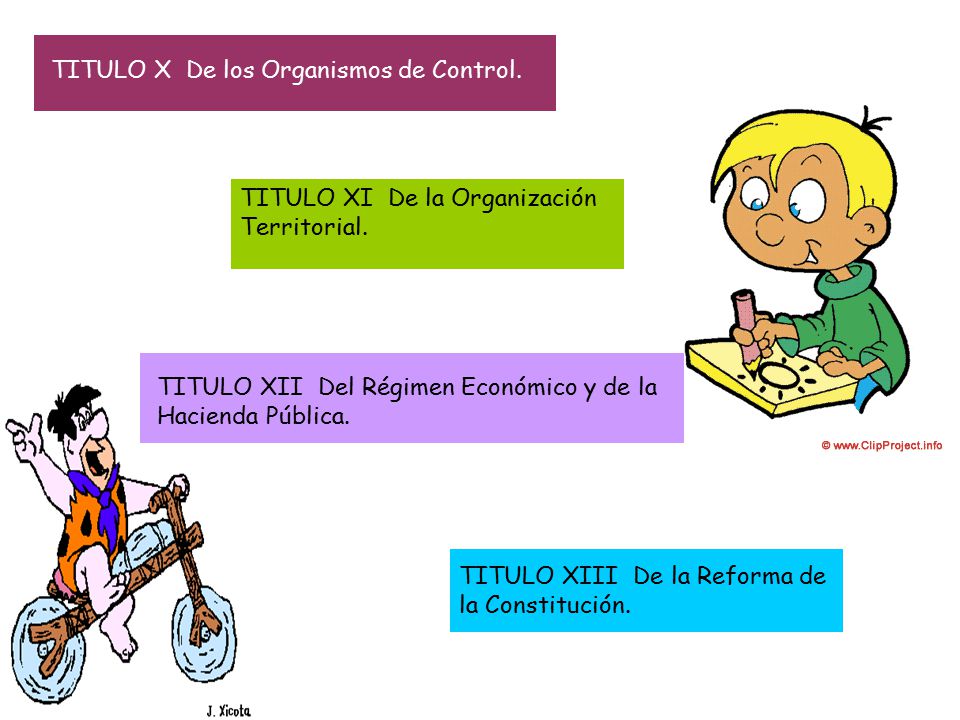 TITULO X De los Organismos de Control.