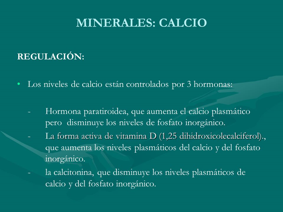 MINERALES: CALCIO REGULACIÓN: